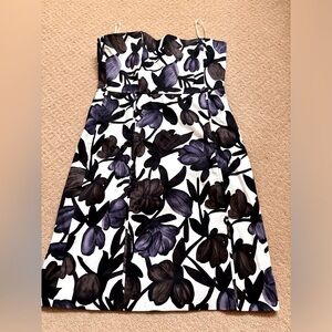 NWT Banana Republic Dress, Size 4